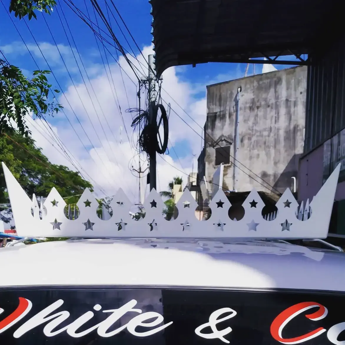 Industrial Crown Carrier